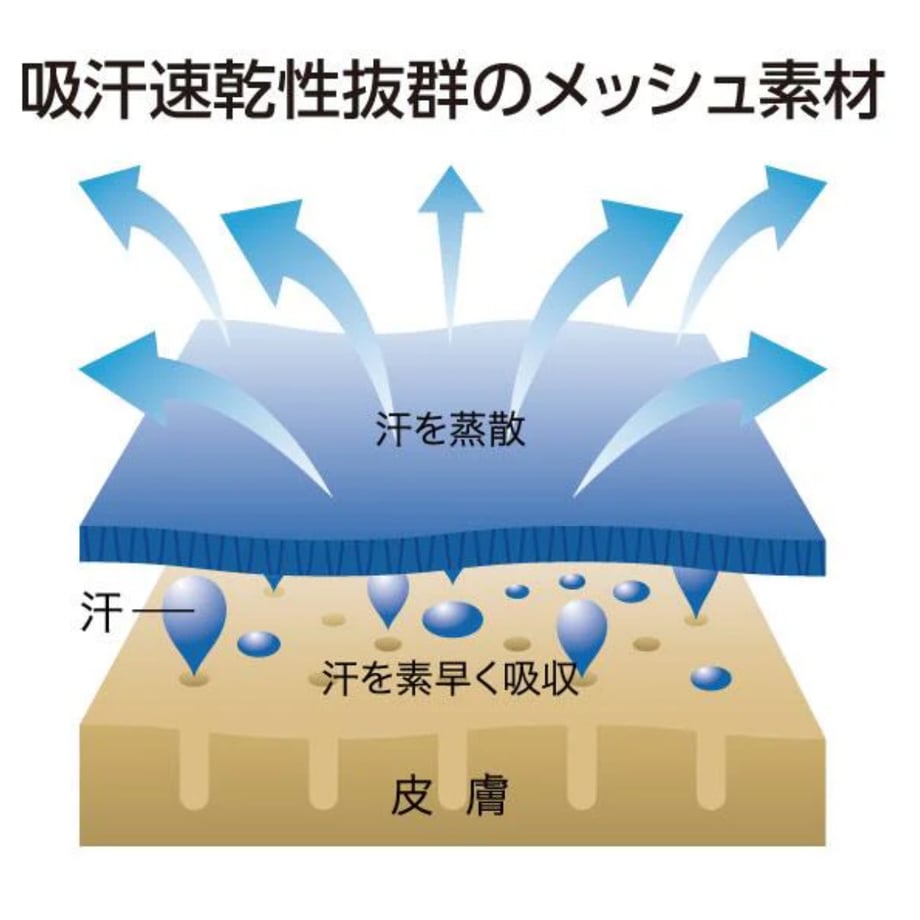 6675539685c337162166fe79