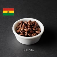 ボリビア　Moises Mollo　200g