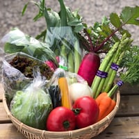 ☆旬の新鮮野菜☆詰め合わせセット☆【火・木・土直売所渡し】