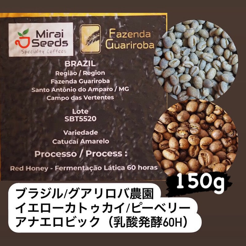 焙煎度3・4・10 アナエロビックライム/コロンビア 600g】 焙煎度3・4