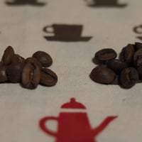 グアリロバ農園/ゲイシャ/ナチュラルファーメンテーション/自家焙煎/きまぐれらっこcoffee