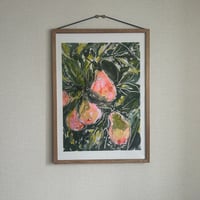 Pear A3 Riso Print