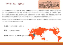 ケニア　AA