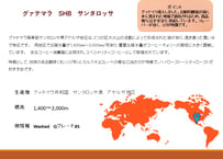 グァテマラ　SHB　サンタロッサ