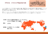 ブラジル　イリシニア