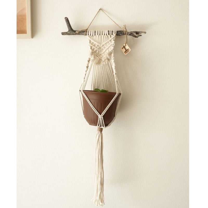 流木☆プランツハンガー LE033-4.jpg