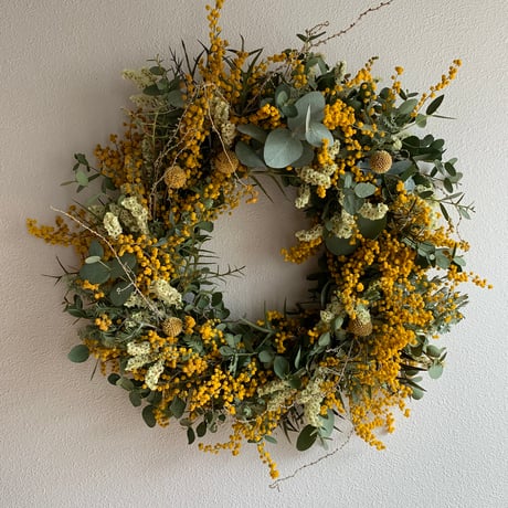 STORES ドライフラワーの検索結果