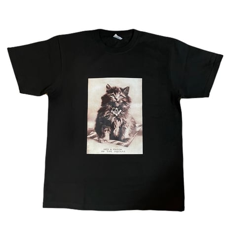 フリーメイソン　P1　Tシャツ　M CAT　BLACK