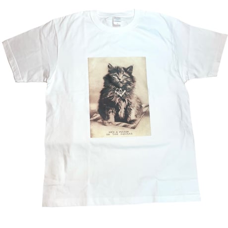 フリーメイソン　P1　Tシャツ　M CAT　WHITE