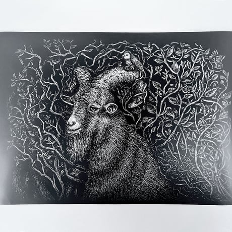 ダークアート | STORES