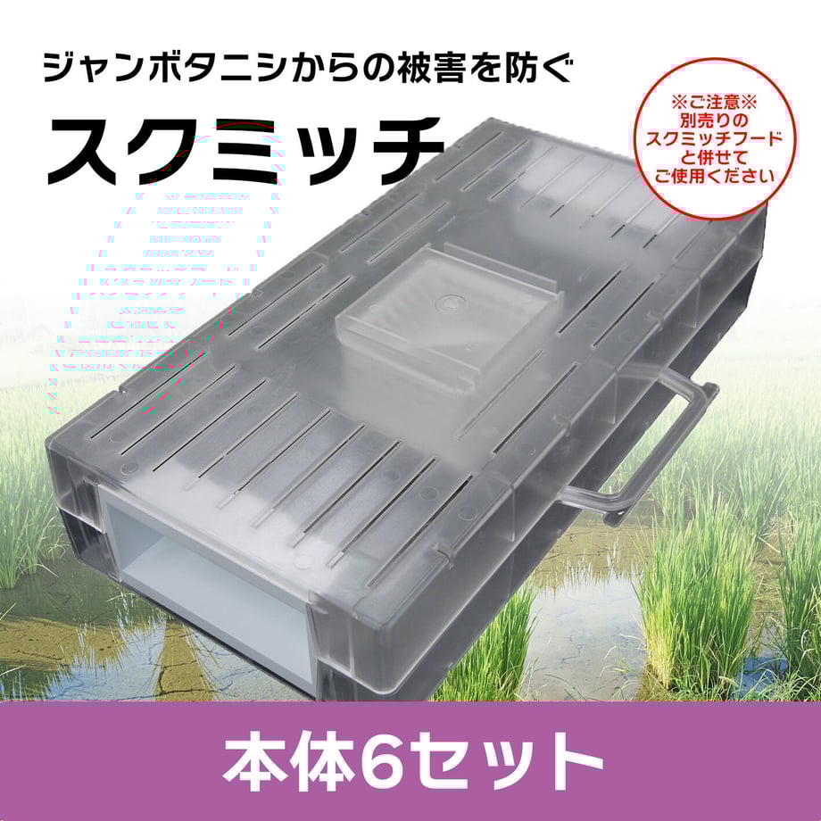 6236c6787d116142ac232cd3
