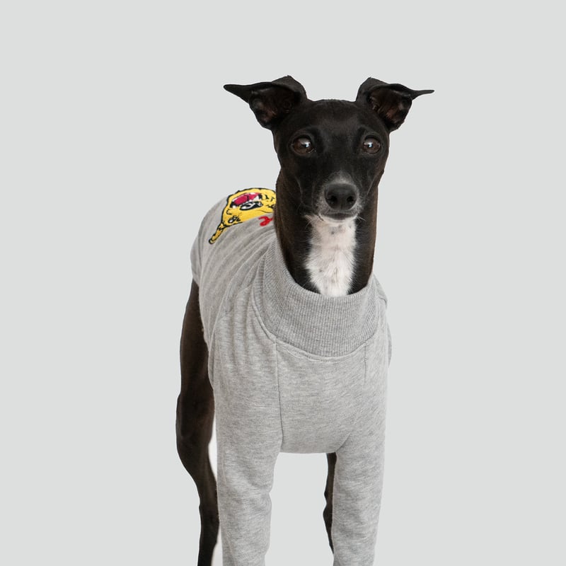 虎風イタグレ刺繍 LONG SLEEVE グレー | hashicco