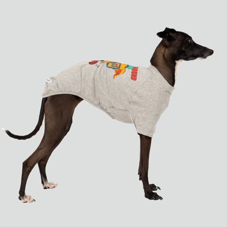 HUNGRY HOUND  SHORT SLEEVE　GRAY