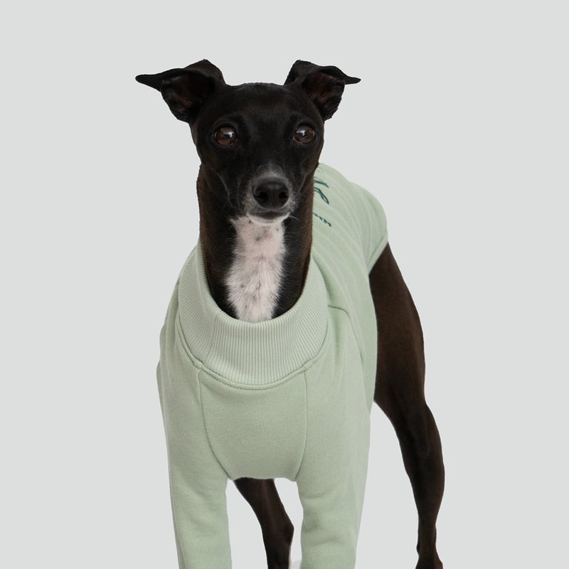 へそてん刺繍 LONG SLEEVE ライトグリーン | hashicco