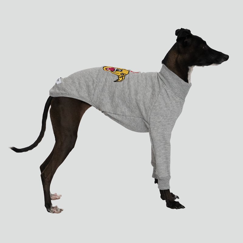 イタグレ ウィペット 浴衣 ブルー イタグレ ウィペット 浴衣 ブルー