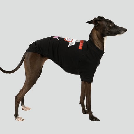 HUNGRY HOUND  SHORT SLEEVE　BLACK