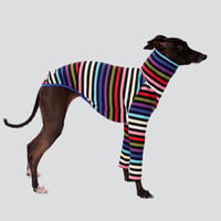 COLORFUL BORDER LONG SLEEVE