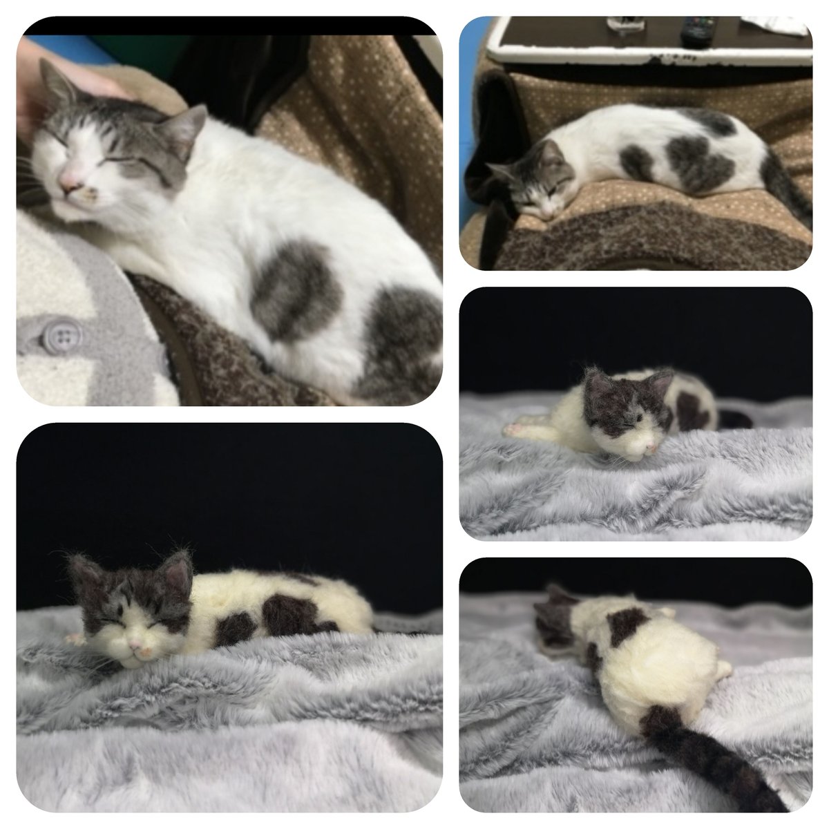 メルねこ様オーダー メル様オーダー専用ページ