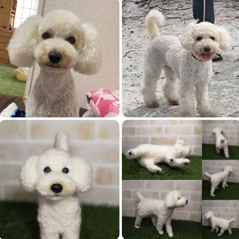 羊毛フェルト リトン様確認用 ダップー 犬 ハンドメイド オーダー 羊毛フェルト リトン様確認用 ダップー 犬 ハンドメイド オーダー