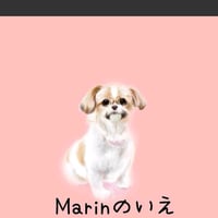 ☆愛犬オーダーメイドMサイズ☆羊毛フェルトオーダー(愛犬 わんちゃん