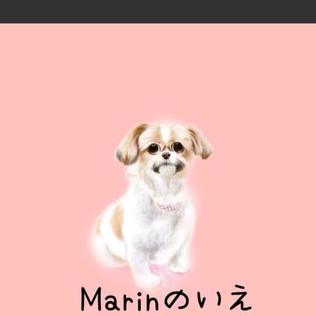 羊毛フェルト 愛犬ちゃんオーダーメイドページ 羊毛フェルト 愛犬ちゃんオーダーメイドページ