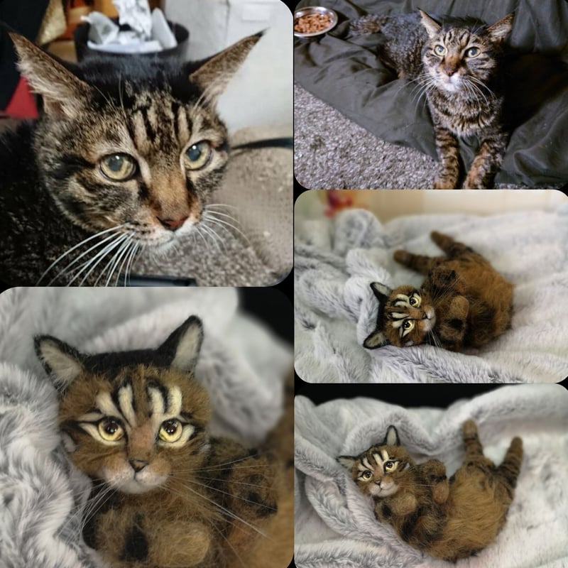 ☆愛猫オーダーメイドMサイズ☆羊毛フェルトオーダー(愛猫 ねこちゃん