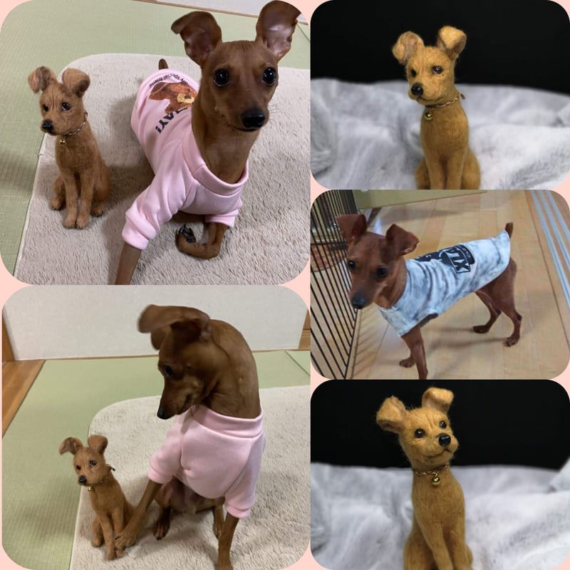 ☆愛犬オーダーメイドMサイズ☆羊毛フェルトオーダー(愛犬 わんちゃん