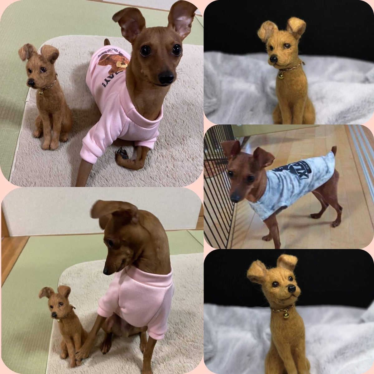 ☆愛犬オーダーメイドMサイズ☆羊毛フェルトオーダー(愛犬 わん ☆愛犬オーダーメイドMサイズ☆羊毛フェルトオーダー(愛犬 わん