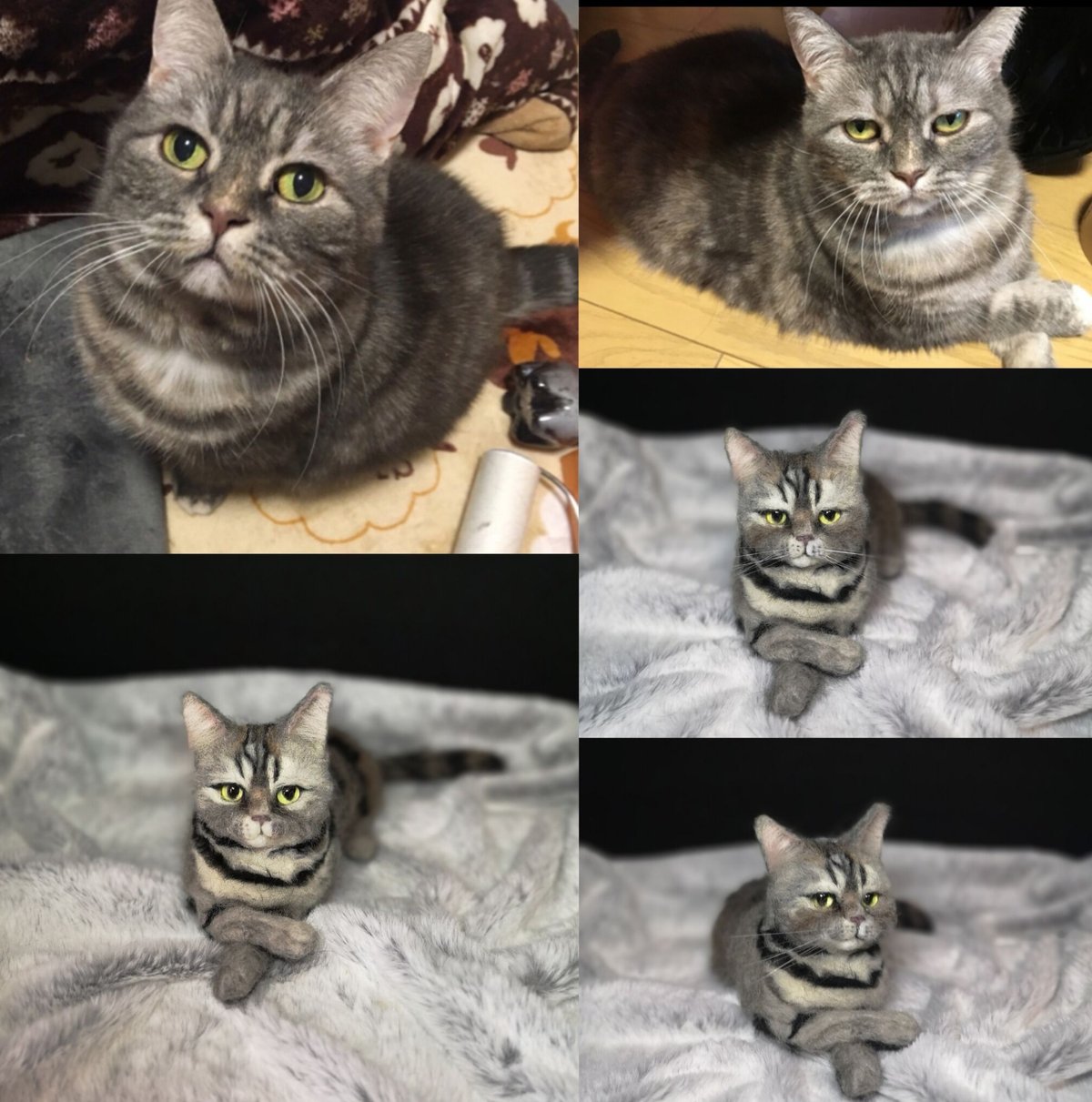 ☆愛猫オーダーメイドLサイズ☆羊毛フェルトオーダー(愛猫 ねこ ☆愛猫オーダーメイドLサイズ☆羊毛フェルトオーダー(愛猫 ねこ