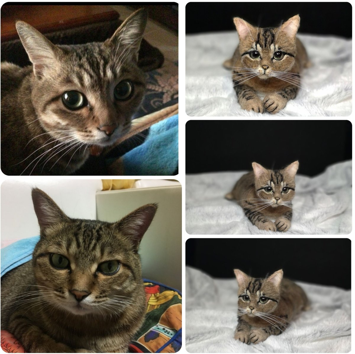 ☆愛猫オーダーメイドMサイズ☆羊毛フェルトオーダー(愛猫 ねこ ☆愛猫オーダーメイドMサイズ☆羊毛フェルトオーダー(愛猫 ねこ