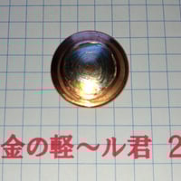 夢幻豆（エナジーコイン 豆1） | 夢幻ショップ新潟