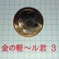 エナジーコイン ビッグ840プロ整体師用 | 夢幻ショップ新潟