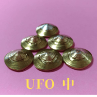 夢幻豆（エナジーコイン 豆1） | 夢幻ショップ新潟