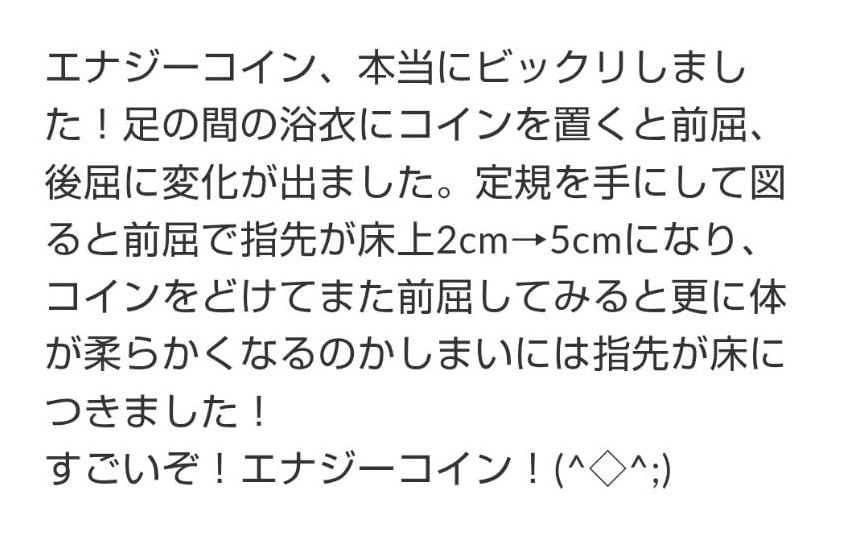 エナジーコイン ビッグ540 | 夢幻ショップ新潟