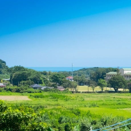 鹿児島豆板醤