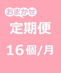 おまかせ定期便 16個/月