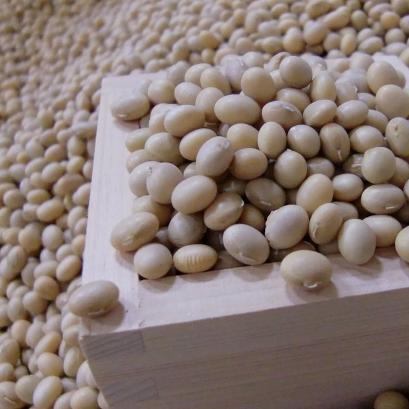 本格味噌 郡上みそ 帯掛 650g カップ詰め | Marushojozojo's STORE