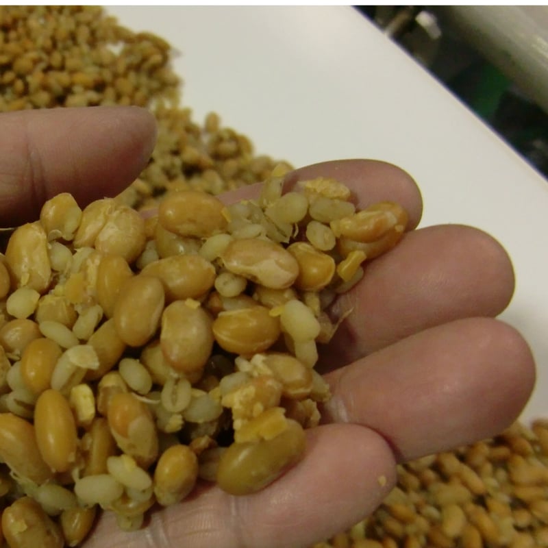 本格味噌 郡上みそ 帯掛 650g カップ詰め | Marushojozojo's STORE