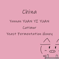 中国　雲南　ユアン・イ・エン　カチモール　イーストファーメンテーション　ハニー