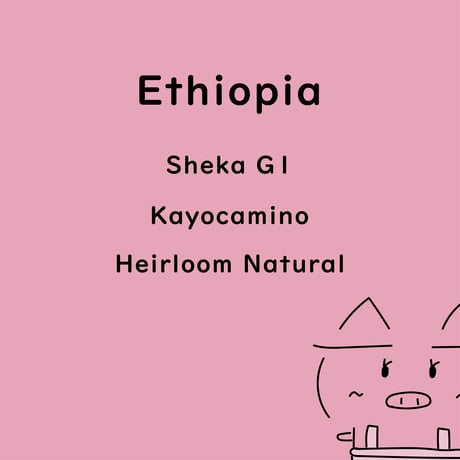 エチオピア　シェカ　G1　カヨカミノ　ナチュラル