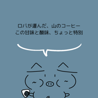 ウガンダ　ルウェンゾリ　ドンキーナチュラル