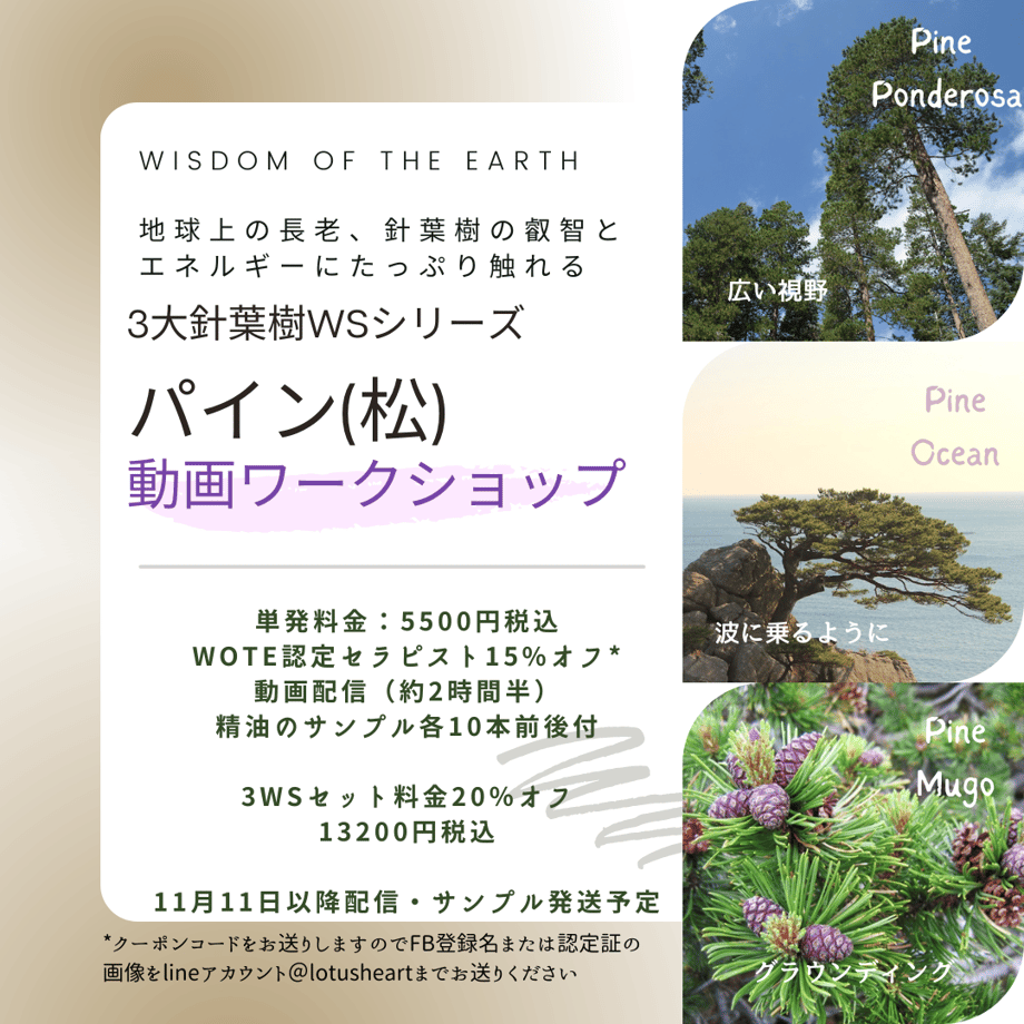 631b48cbed4ab06b01e07ee9