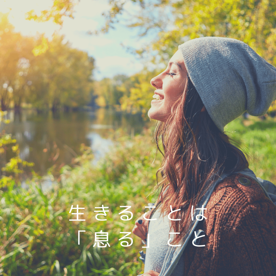 62c7a4d2b5285a16622cd3c1