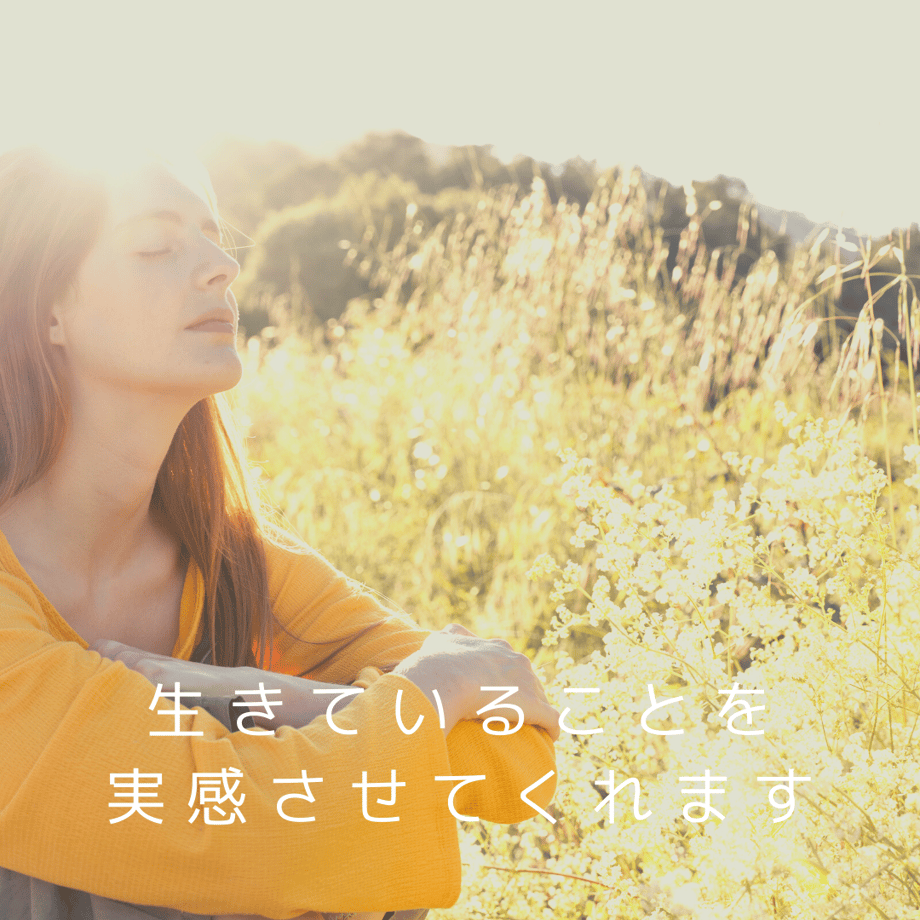 62c7a4d2b5285a16622cd3c1