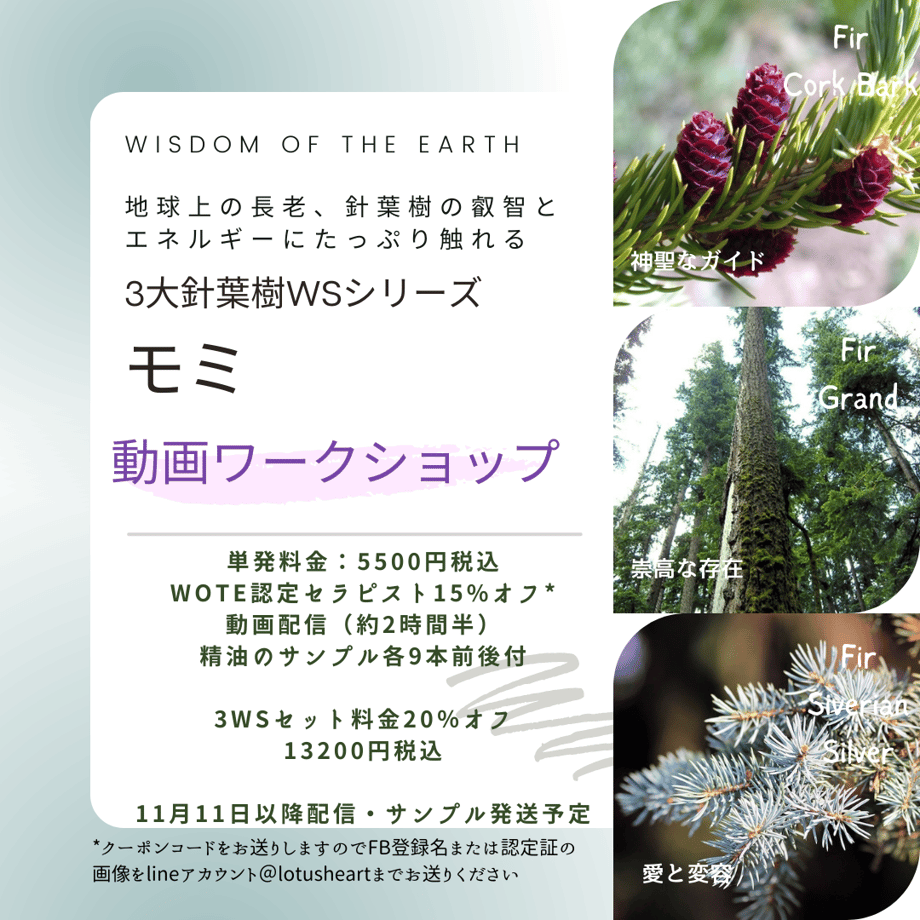 63523a335976204f3609db10