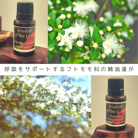 【リクエスト開催可】呼吸で意識と肉体をつなげるWS