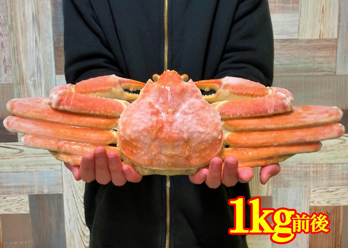 完売御礼！入荷待ち)ボイル本ズワイガニ姿 1尾1kg前後(特大