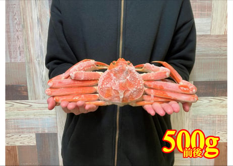 【訳あり品】ボイル本ズワイガニ姿　1尾500g前後