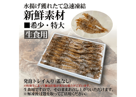 モサエビ  (特大)【生食用】※別名：がす海老