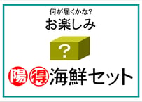 まる得海鮮セット